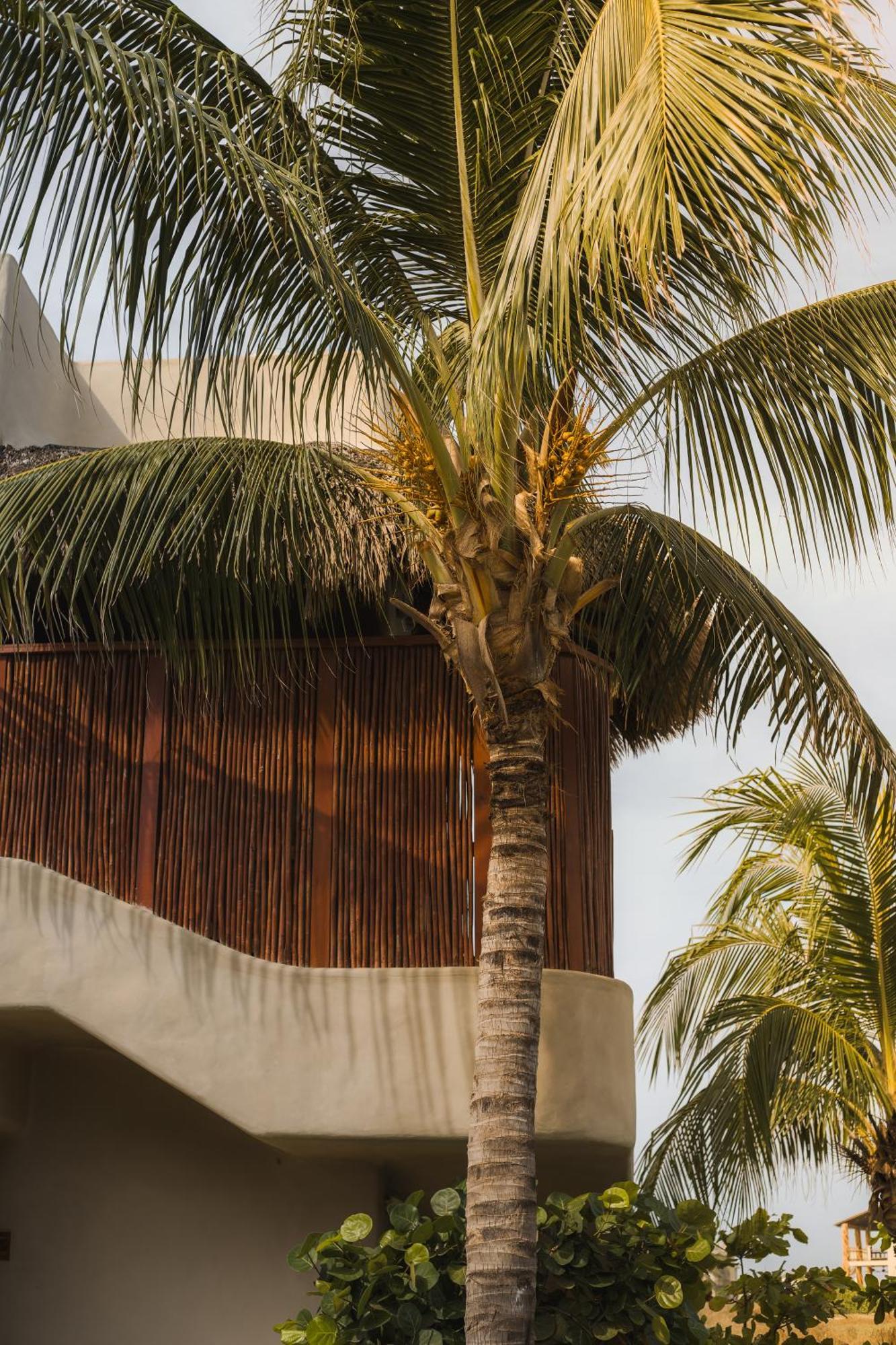 El Origen Villas & Spa-Puerto Escondido Exterior foto